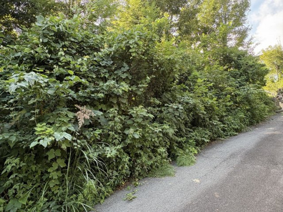 【外観】 | 大室高原別荘地　売地