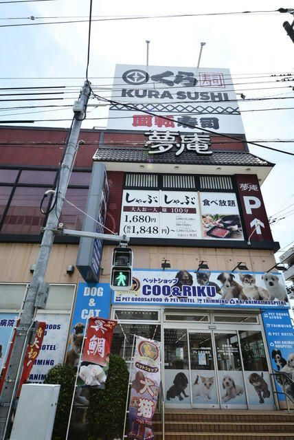 メゾン・ド・ヴィレ住吉の周辺