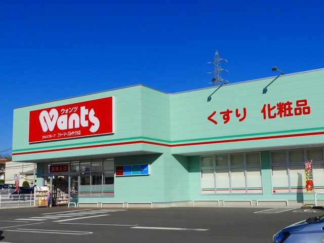 メゾンフランＢの周辺|ウォンツみやうち店まで1600m