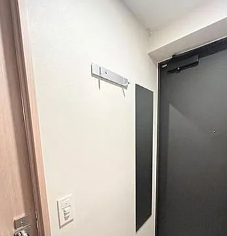 ルフォンプログレ押上ＥＡＳＴの玄関