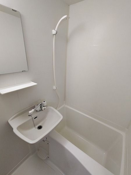エスポワール壱番館の洗面所