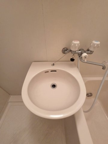 サンクレスト田口の洗面所