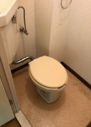 相模原市中央区上溝のアパートのトイレ