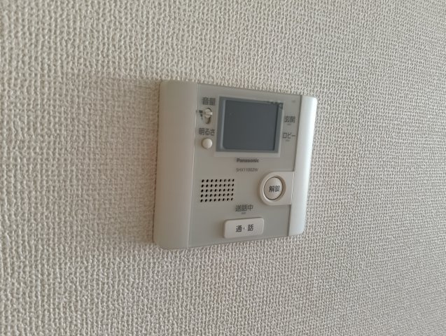 フェリシャスのセキュリティ