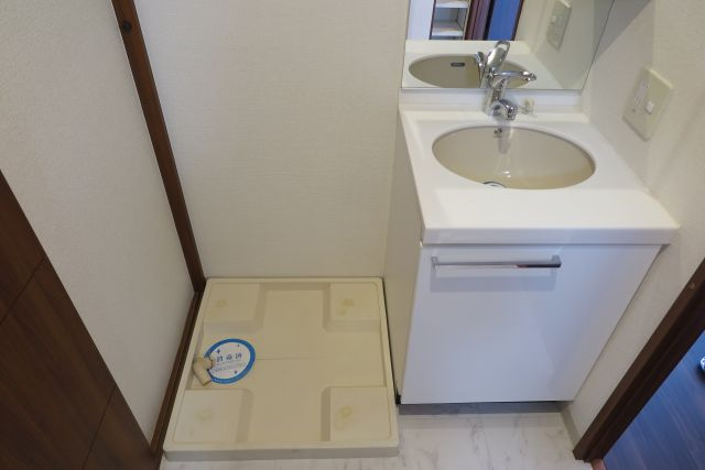 フェニックス日本橋高津の洗面所