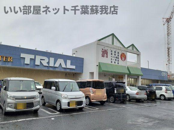 リヴ　イン　コンフォートのその他