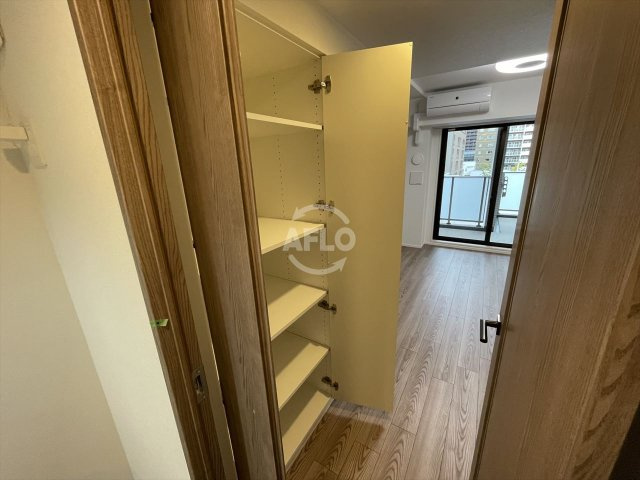 ルネフラッツ谷町四丁目の収納|ルネフラッツ谷町四丁目　クローゼット