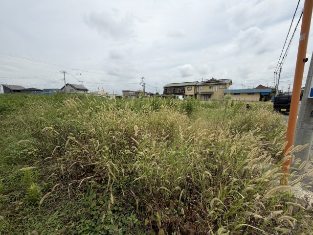 横田売地の外観