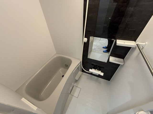 GRADUS 柏Ⅲの浴室
