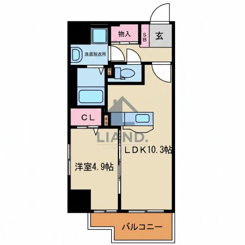 ドムール県庁前　馬出小学校区の間取り|ドムール県庁前