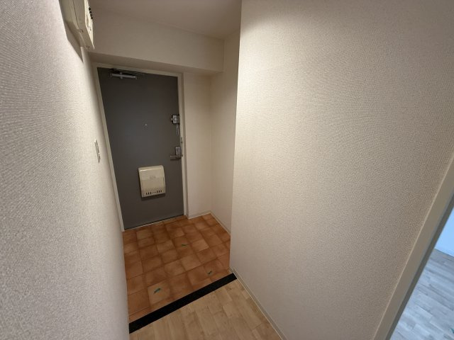 ルミエール西緑丘の玄関