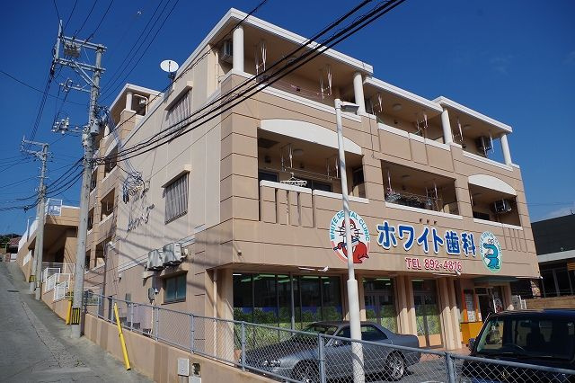 エレガント Tの画像