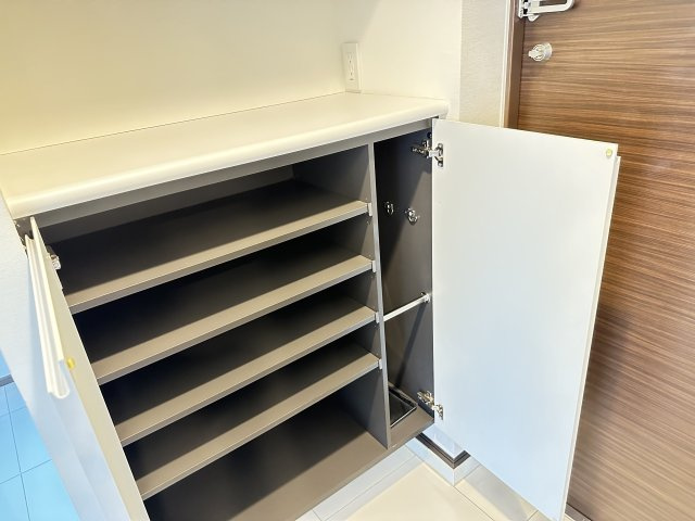 コンシェリア南麻布 ＜ＴＯＫＹＯ ＰＲＥＭＩＵＭ＞ ＷＥＳＴの収納|同タイプ別住戸写真となります。現況と異なる場合がございます。