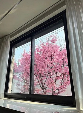 【展望】