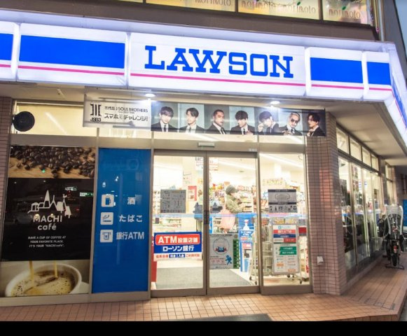 アイルイムーブル西大島の周辺