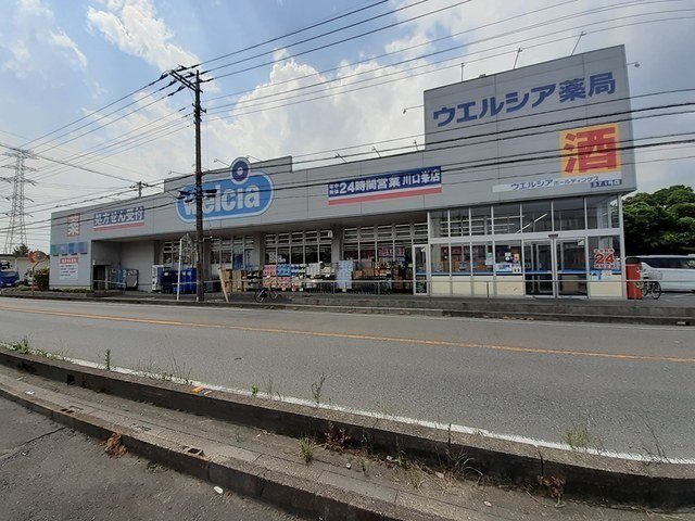 コスモメゾンの周辺|ウエルシア川口峯店まで551m