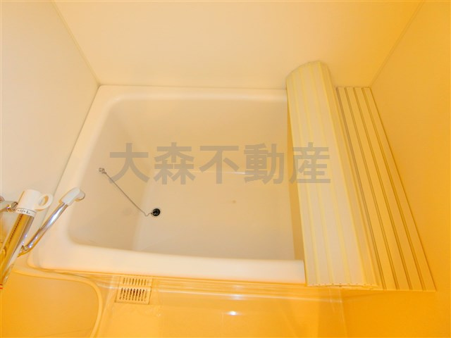 ミテッツァ大森Ⅱの浴室