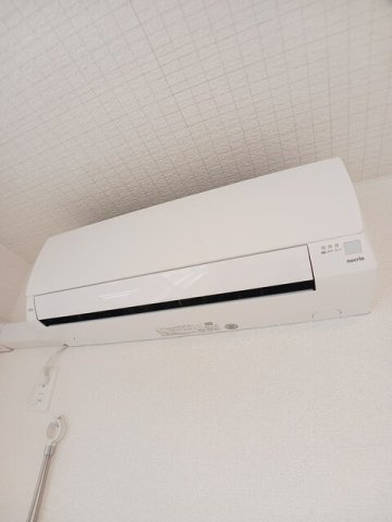 Ｅｖｉｔａ（エヴィタ）のその他