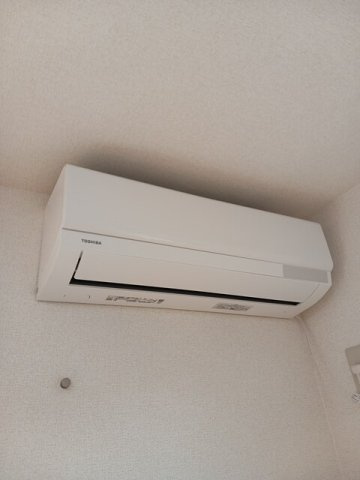 エターナリィのその他