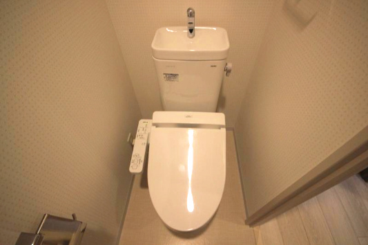 エストラーダ・ブランカ下中条のトイレ|トイレです
