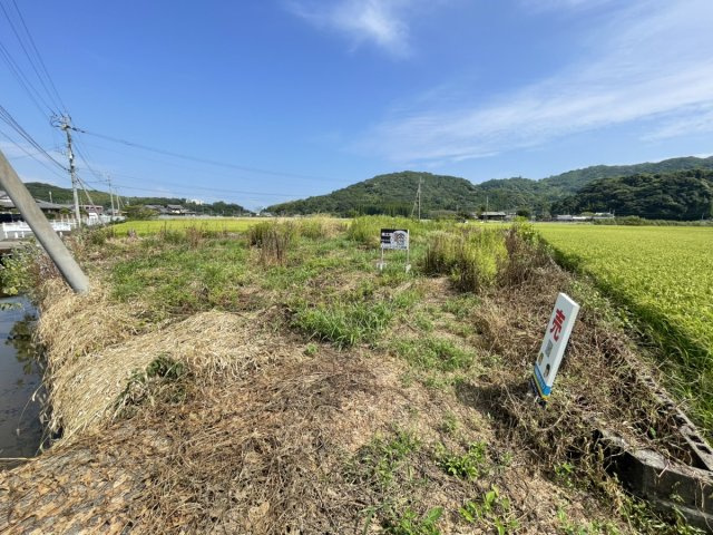 網津町土地