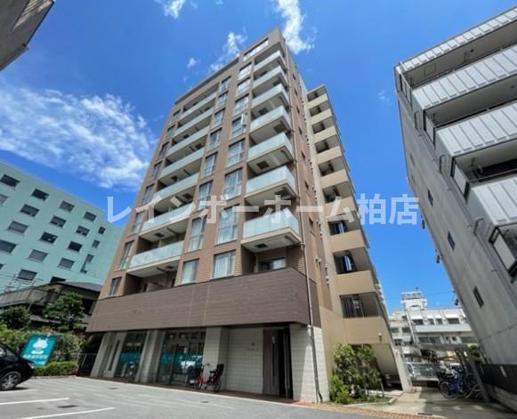 特典：仲介手数料が50％OFFです‼
