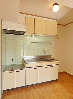 武蔵村山市岸３丁目の賃貸マンションのキッチン