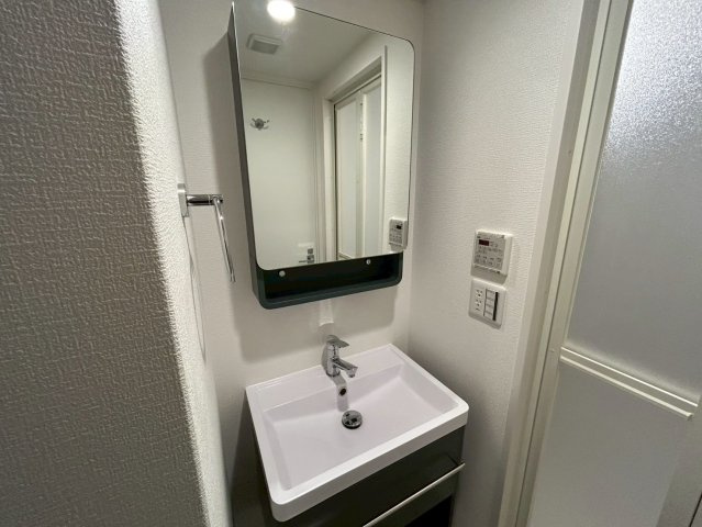 セレニテ元町アリエの洗面所