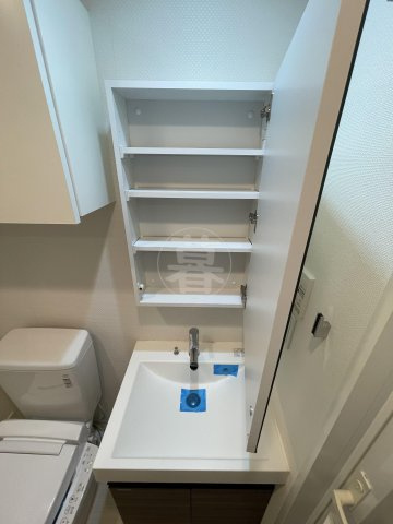 ライジングプレイス川崎の独立洗面台