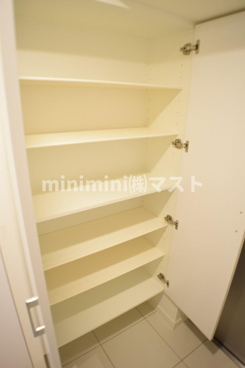 レジュールアッシュ中之島サウスの収納