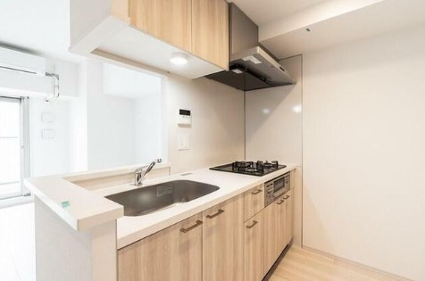 板橋区板橋１丁目の賃貸マンションのキッチン
