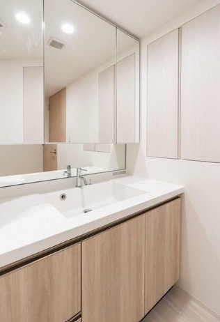 板橋区板橋１丁目の賃貸マンションの洗面所