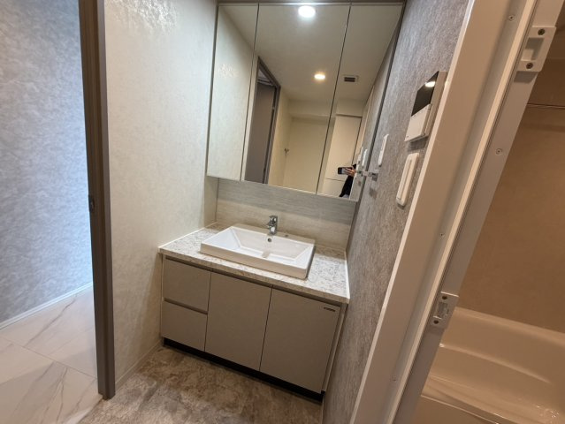 S-RESIDENCE千種belvia TOWER(べルヴィアタワー)の洗面所