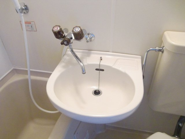 仲ハイム箕輪の洗面所
