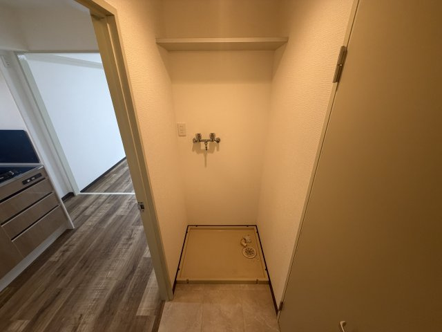 メゾングリックの洗面所