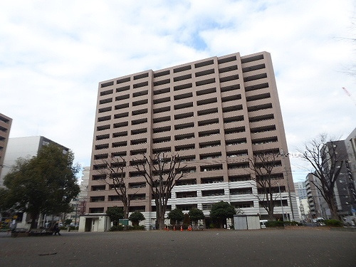 アデニウム新横浜の外観|建物外観別角度※前回募集時2024年2月の写真