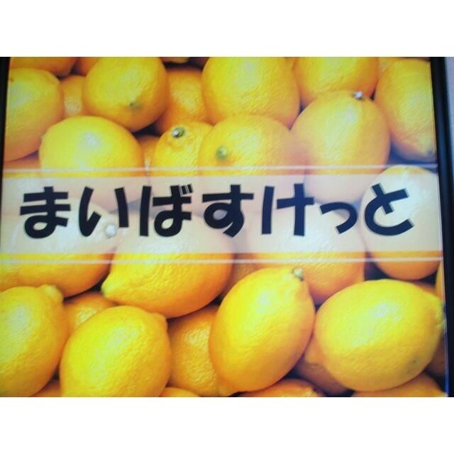 エステート長津田Ⅲ
