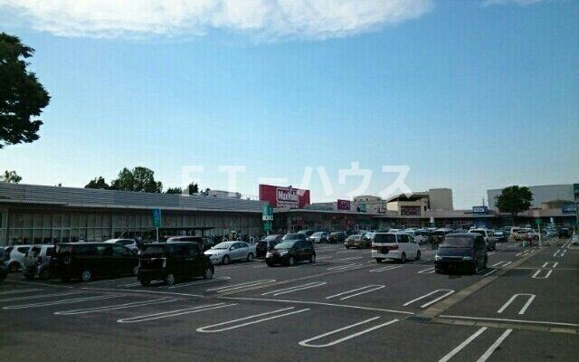 ブライトヒルのその他