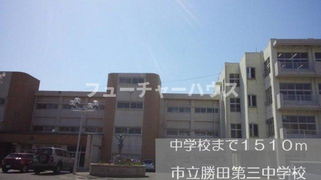 メゾンプルミエールⅢの周辺|市立勝田第三中学校まで1510m