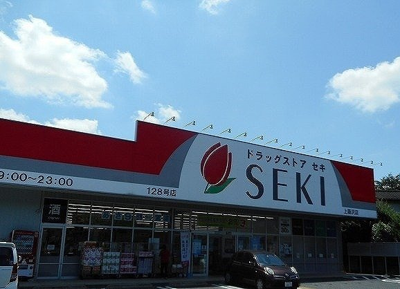 グランシャトー武蔵藤沢Ａの周辺|ドラッグストアセキ 上藤沢店まで850m
