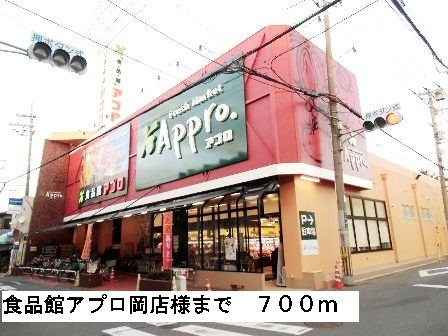 カーサ立部の周辺|食品館アプロ岡店様まで700m