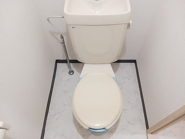 エルディム清水Ⅱのトイレ