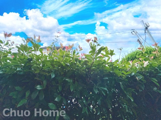 アルシオン北綾瀬の展望|眺望