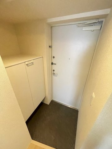 ザ・パーククロス阿波座の玄関