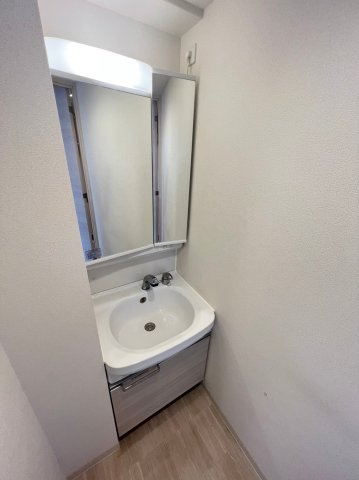 プレサンス心斎橋レヨンの洗面所