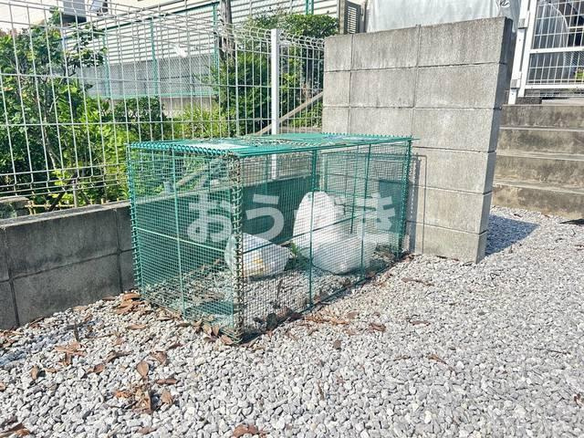 ＷＩＴＨ　ＰＬＡＣＥ　月見台のその他
