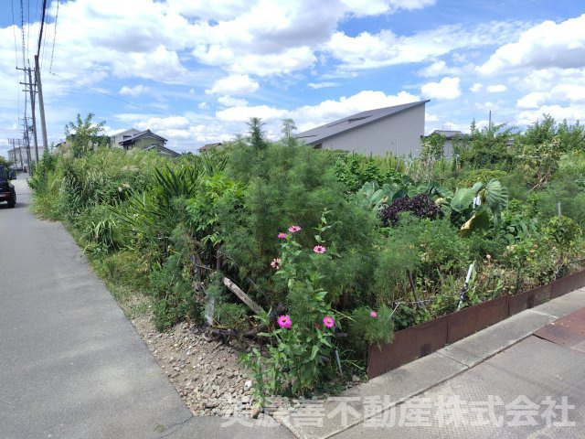 ６６７１３　一宮市島村土地の外観