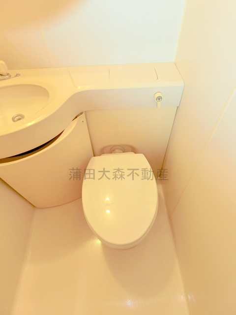 リバティ多摩川のトイレ|トイレ
