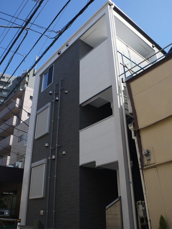 バイラタカサゴの外観
