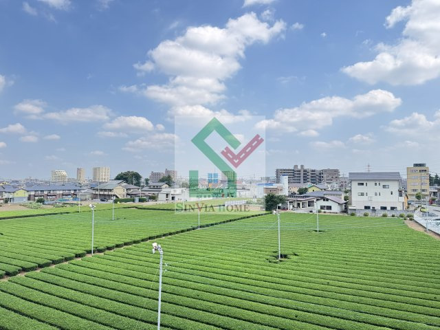 ヴィラ明の沢の展望